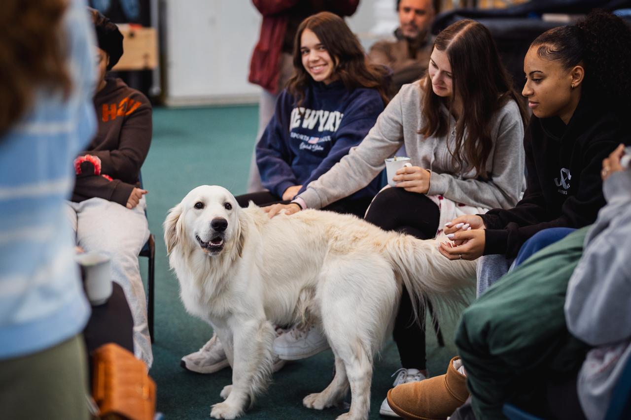 Students relaxing with the staff dog
